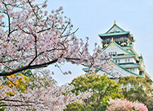 安卓版-重磅！里皮直接宣布辞职：球员没斗志是教练责任